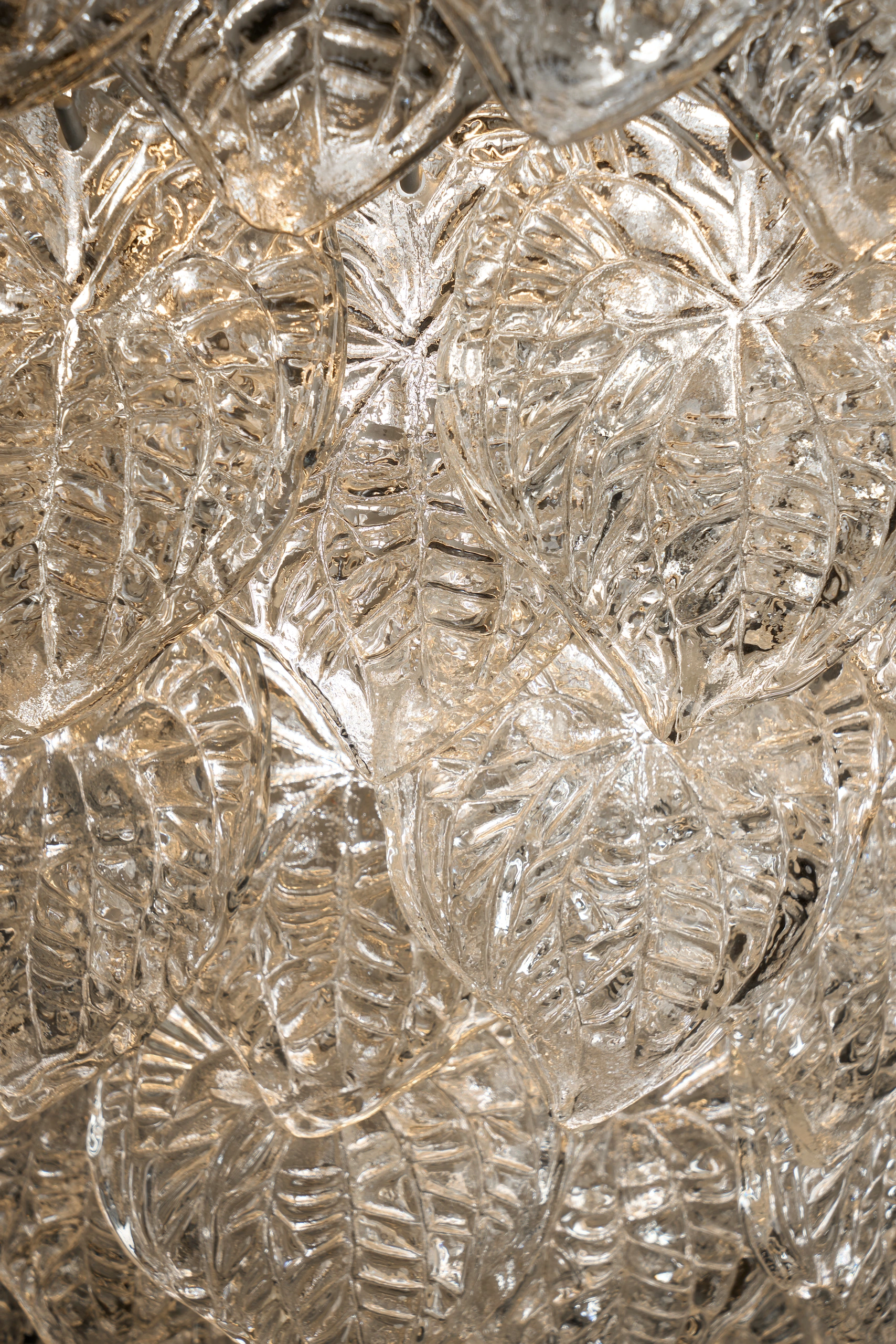 Colgante de anturio — still 01