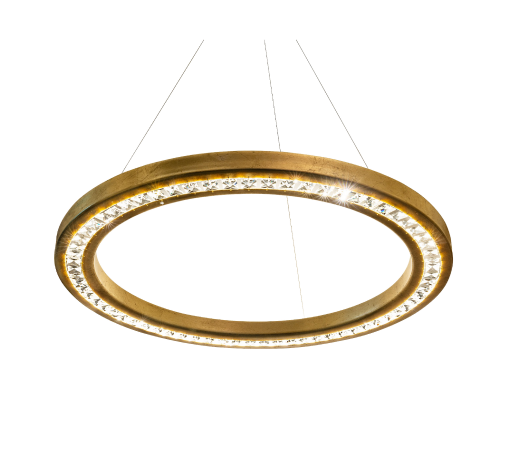 PENDIENTE EN FORMA DE ANILLO